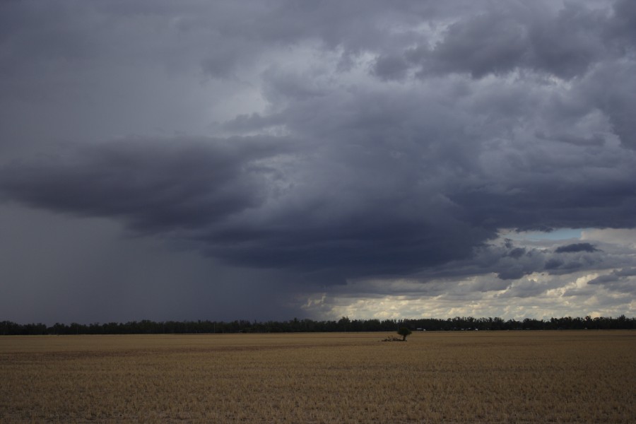 cumulonimbus thunderstorm_base : W of Dubbo, NSW   2 December 2007