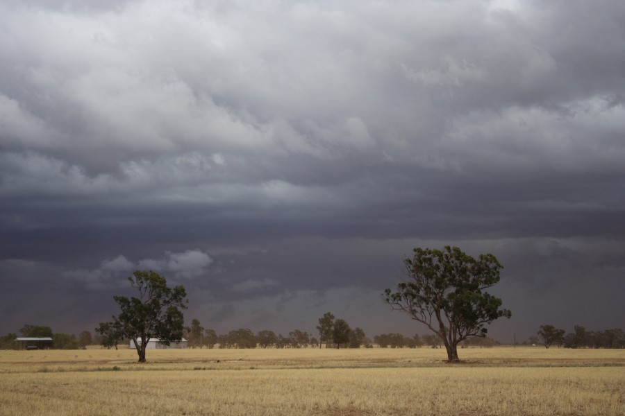 shelfcloud shelf_cloud : SW of Narromine, NSW   3 December 2007