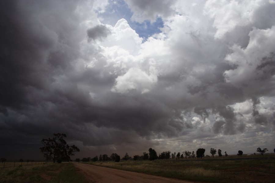 updraft thunderstorm_updrafts : SW of Narromine, NSW   3 December 2007