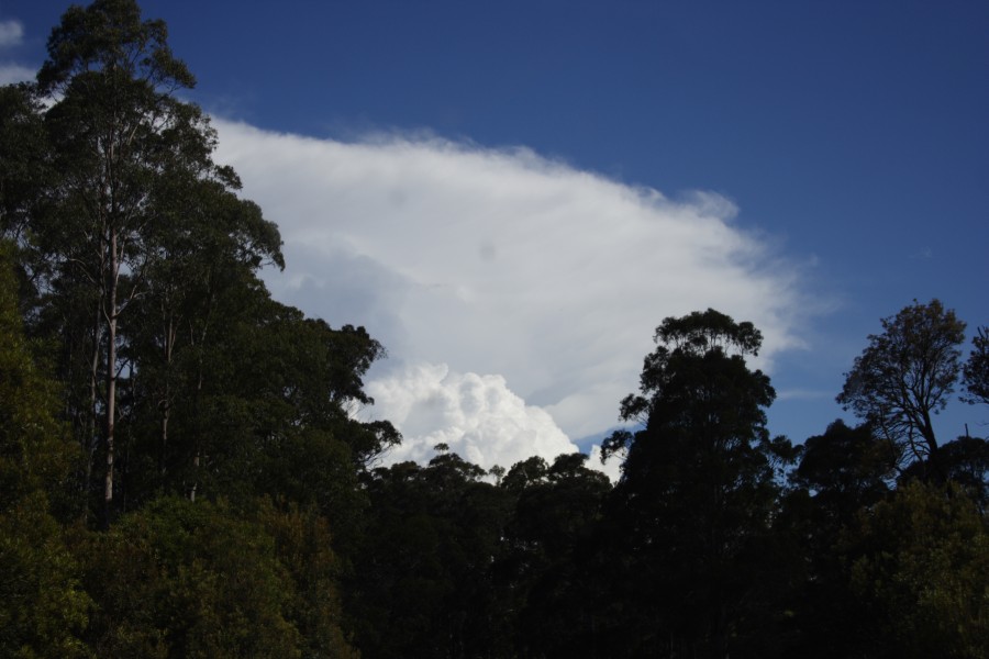 thunderstorm cumulonimbus_incus : W of Dorrigo, NSW   4 December 2007