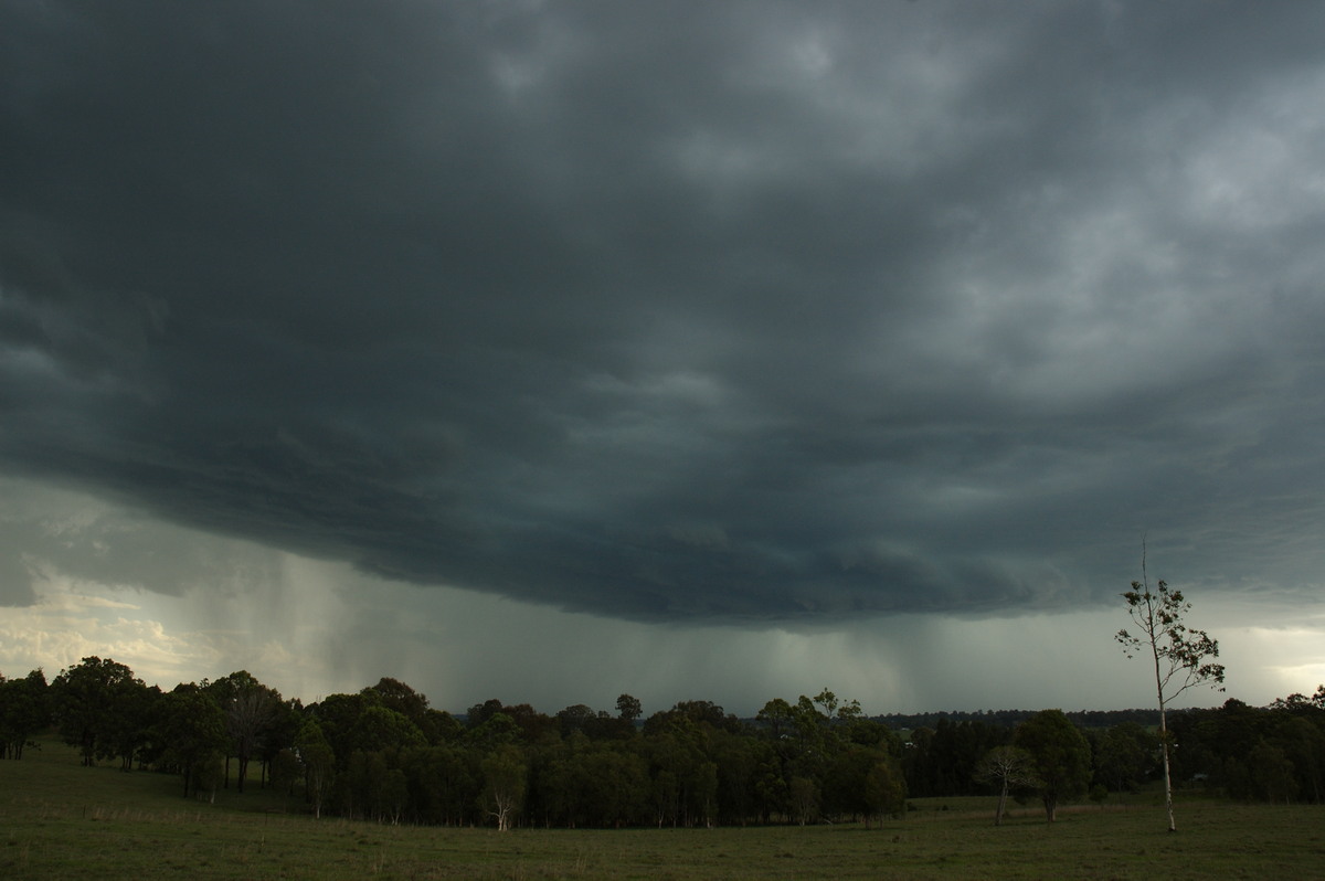 raincascade precipitation_cascade : Koolkhan, NSW   4 December 2007