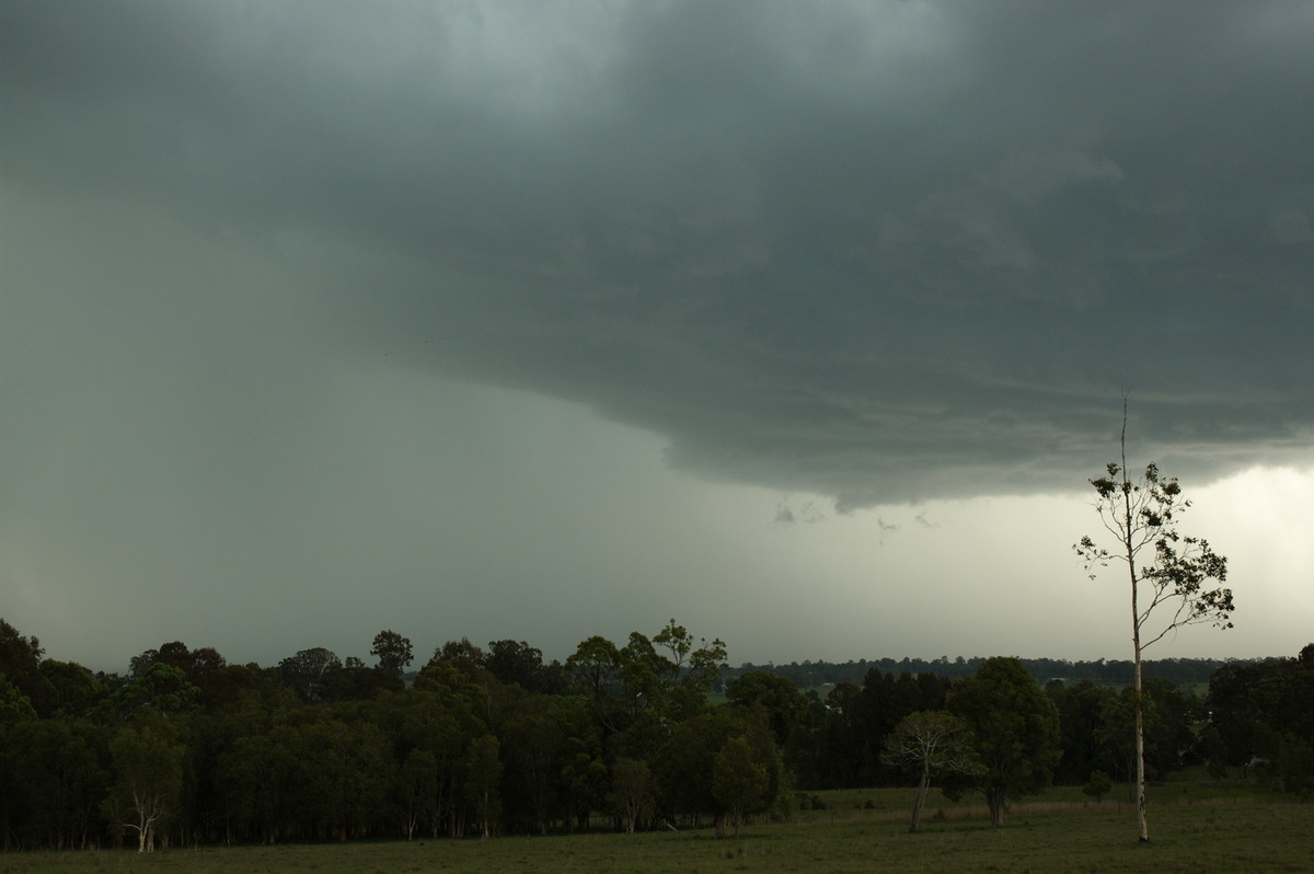 cumulonimbus thunderstorm_base : Koolkhan, NSW   4 December 2007