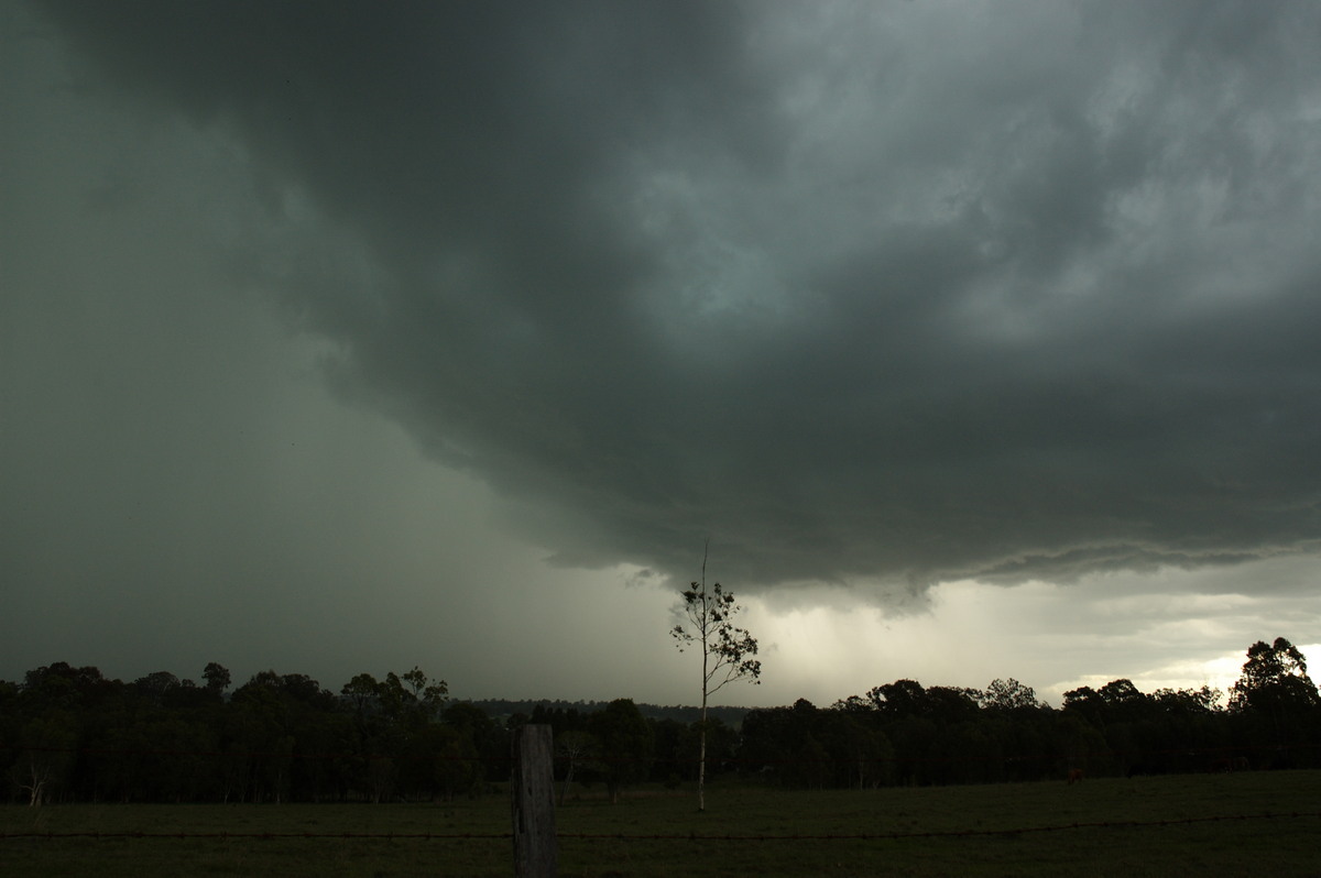 raincascade precipitation_cascade : Koolkhan, NSW   4 December 2007