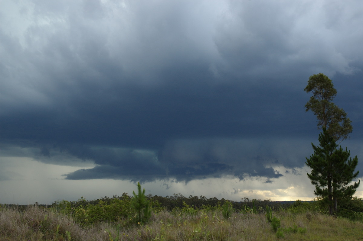 shelfcloud shelf_cloud : Whiporie, NSW   4 December 2007