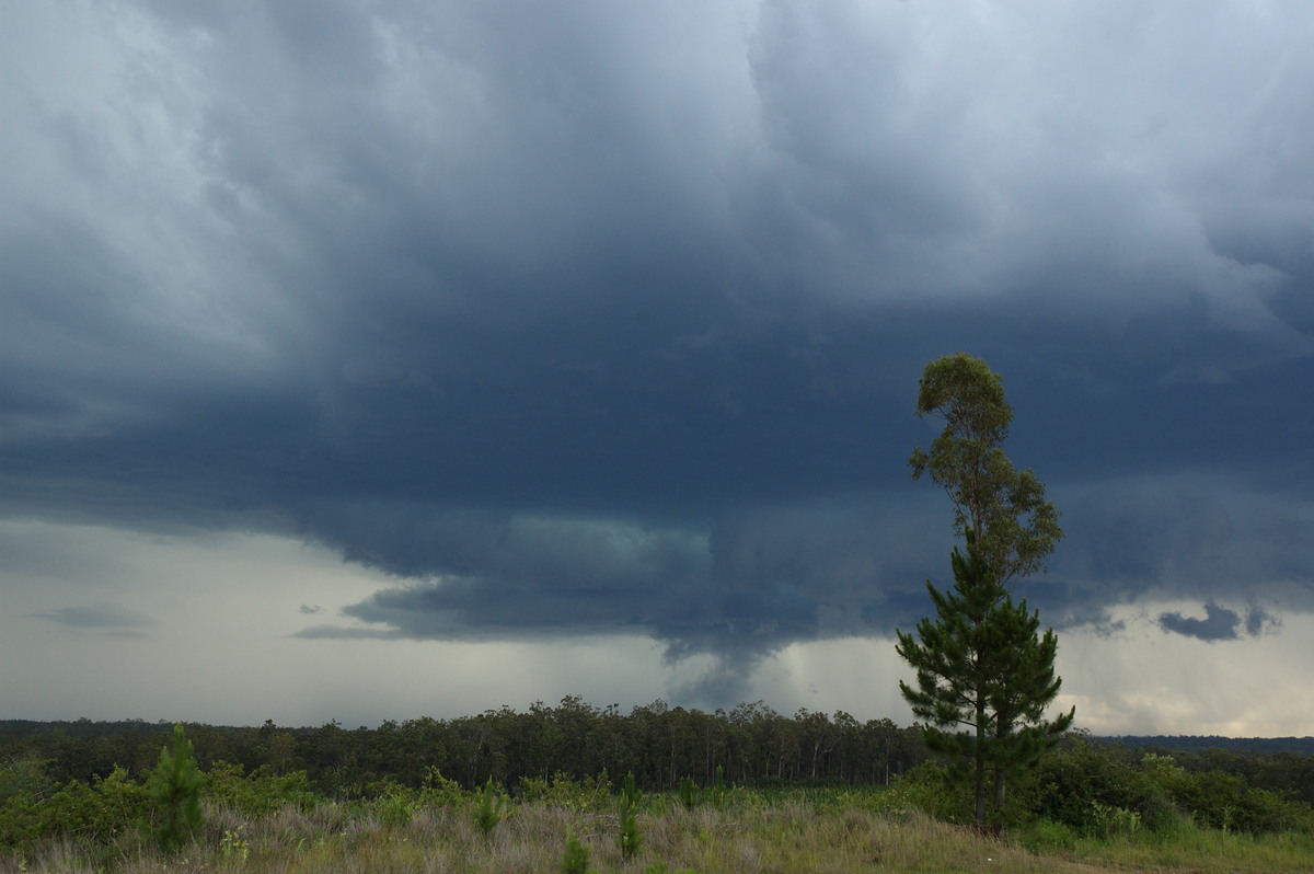 cumulonimbus thunderstorm_base : Whiporie, NSW   4 December 2007