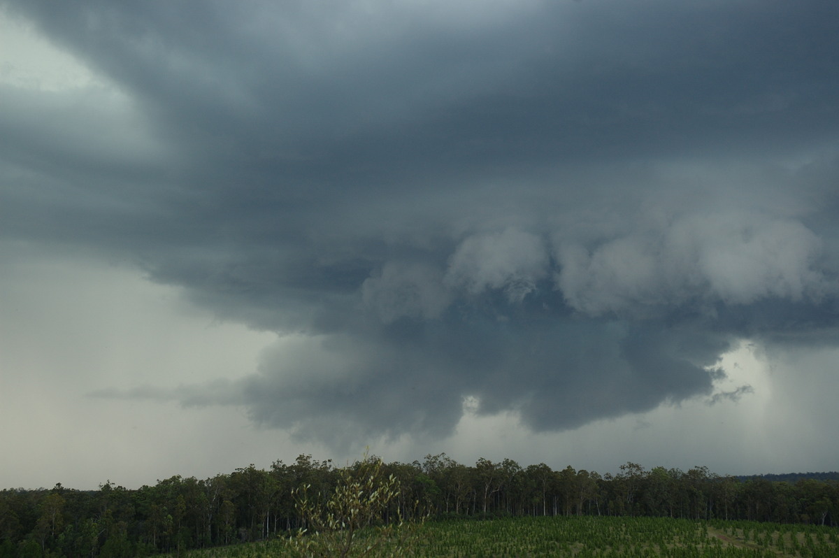 wallcloud thunderstorm_wall_cloud : Whiporie, NSW   4 December 2007