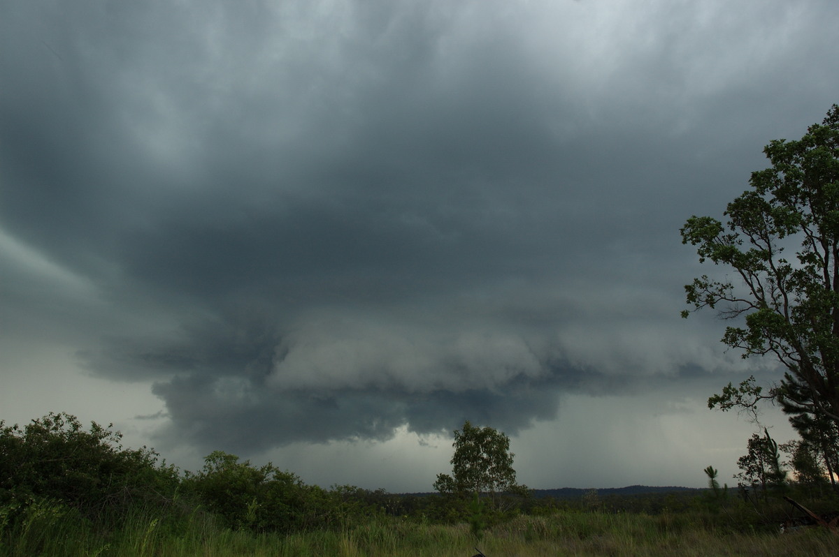 wallcloud thunderstorm_wall_cloud : Whiporie, NSW   4 December 2007