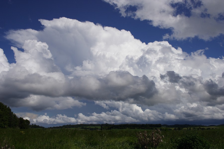 thunderstorm cumulonimbus_incus : Dorrigo, NSW   5 December 2007