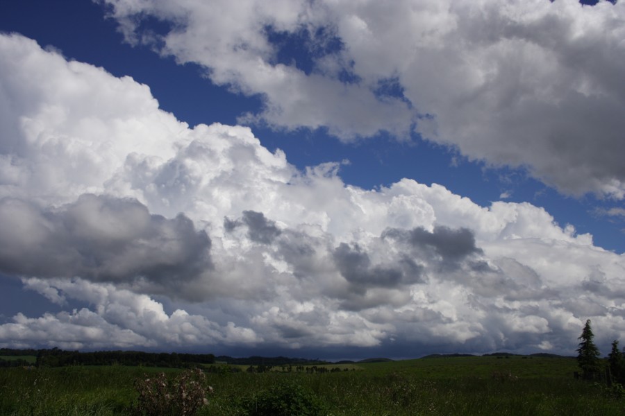 thunderstorm cumulonimbus_incus : Dorrigo, NSW   5 December 2007