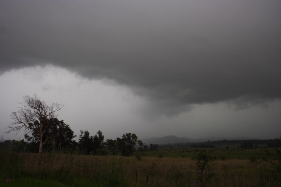 raincascade precipitation_cascade : Camden, NSW   7 December 2007