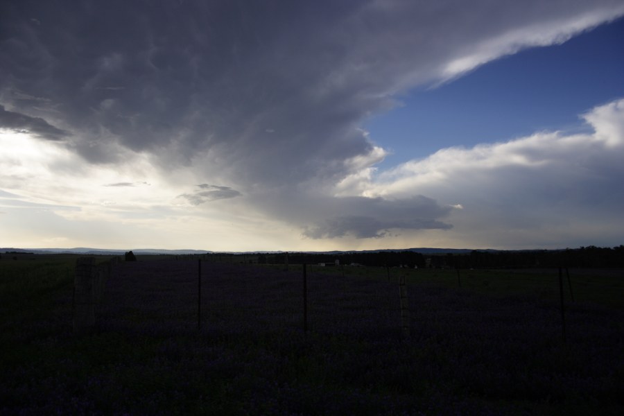 anvil thunderstorm_anvils : E of Bathurst, NSW   7 December 2007