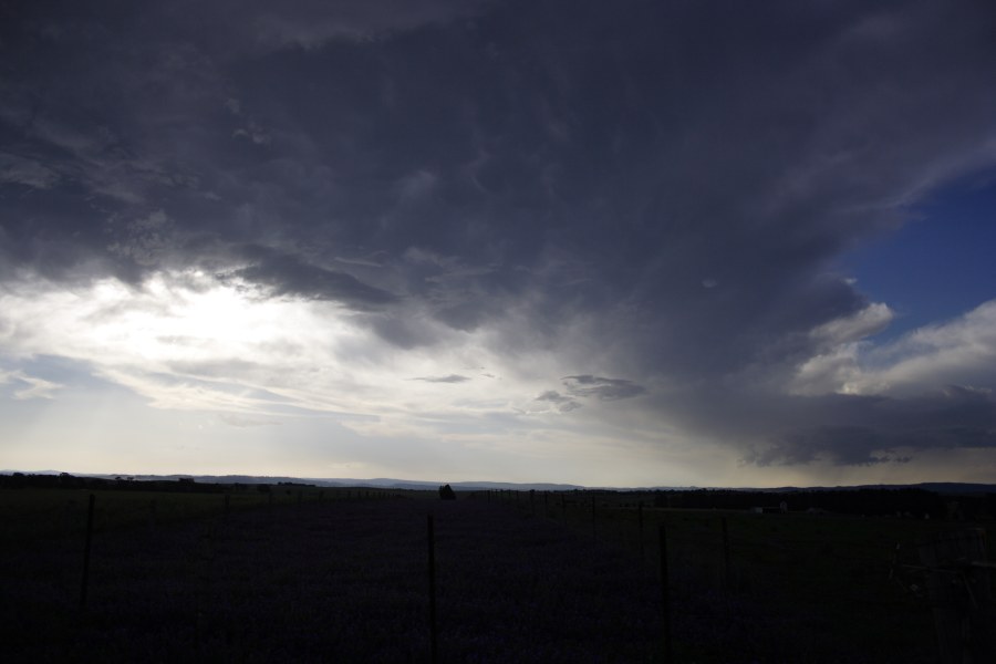 mammatus mammatus_cloud : E of Bathurst, NSW   7 December 2007