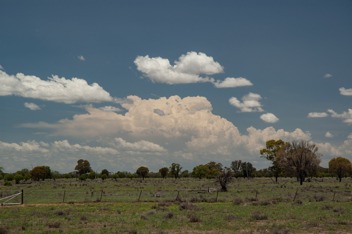 thunderstorm cumulonimbus_incus : near Coonamble, NSW   8 December 2007