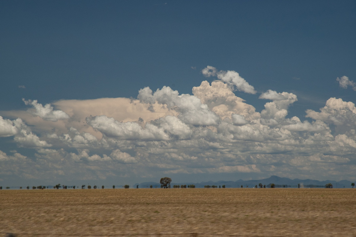 thunderstorm cumulonimbus_incus : near Coonamble, NSW   8 December 2007