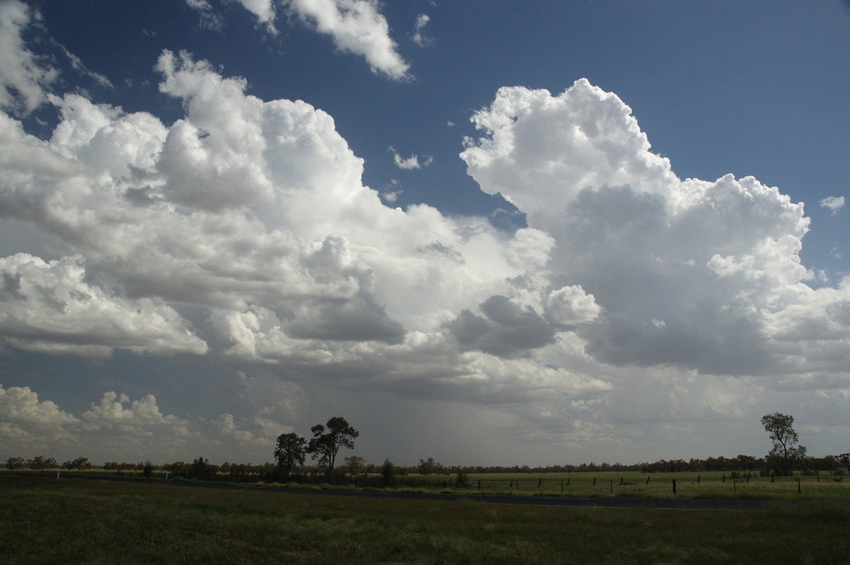 thunderstorm cumulonimbus_incus : near Gulargambone, NSW   8 December 2007