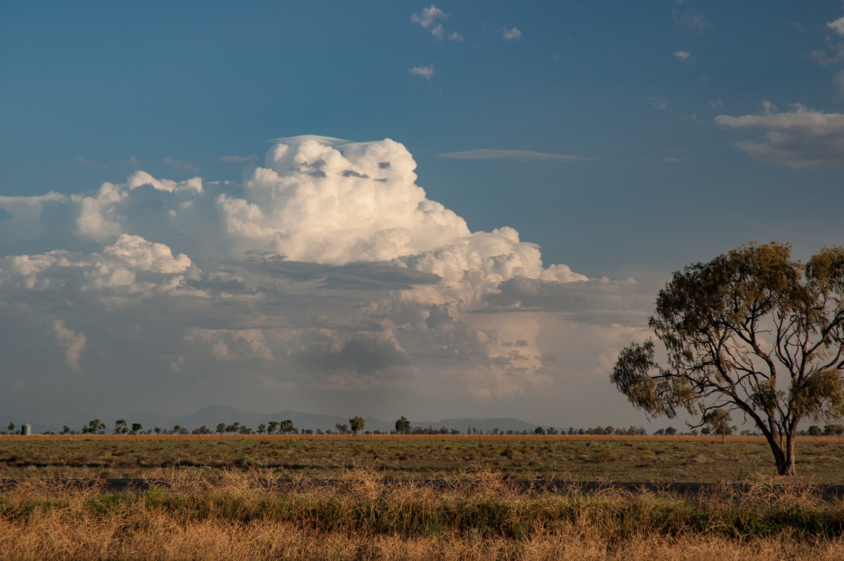 pileus pileus_cap_cloud : Coonamble, NSW   8 December 2007