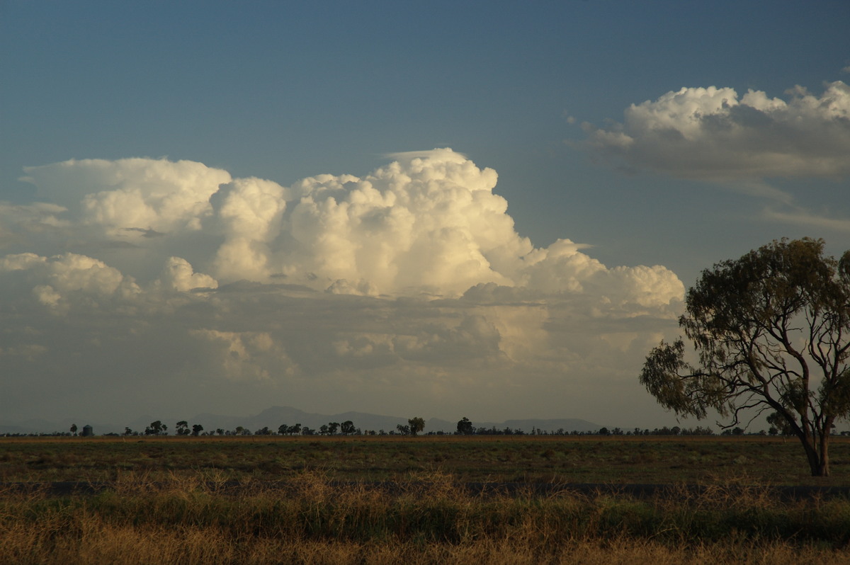 pileus pileus_cap_cloud : Coonamble, NSW   8 December 2007