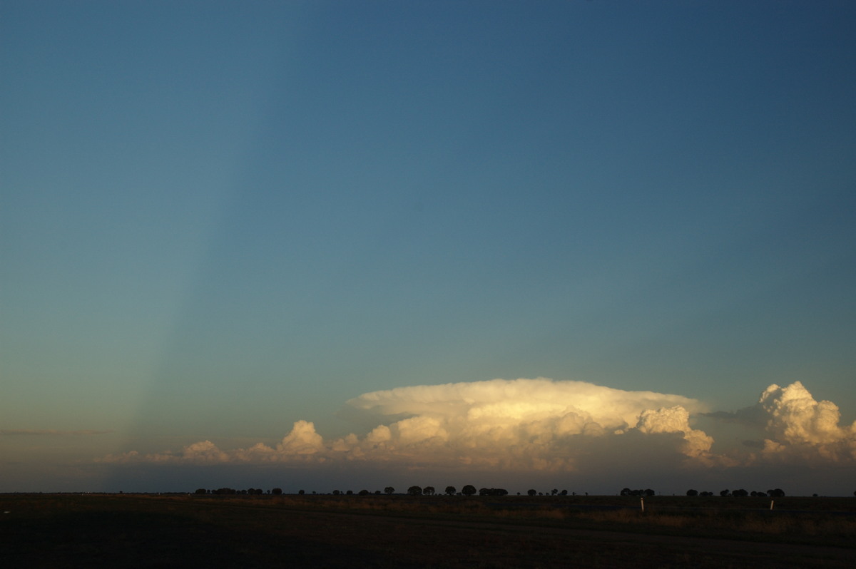 thunderstorm cumulonimbus_incus : Coonamble, NSW   8 December 2007