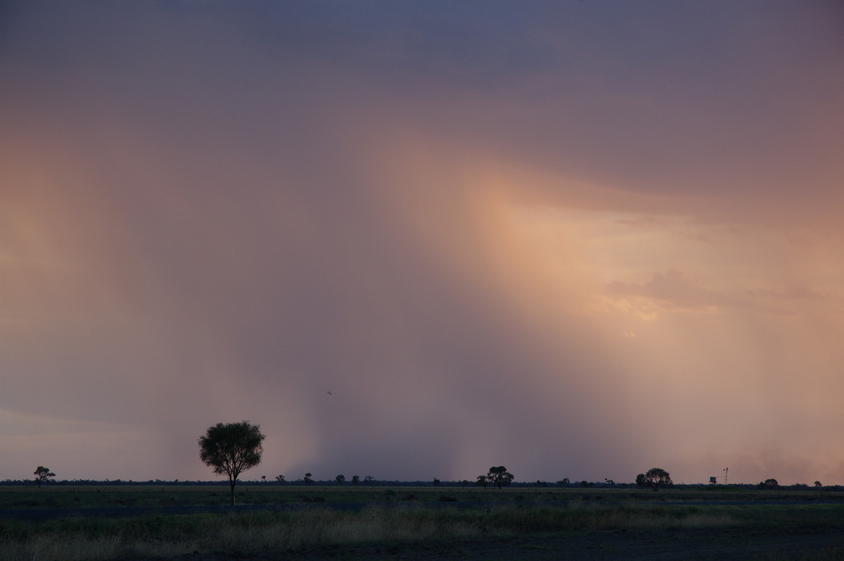 raincascade precipitation_cascade : Coonamble, NSW   8 December 2007