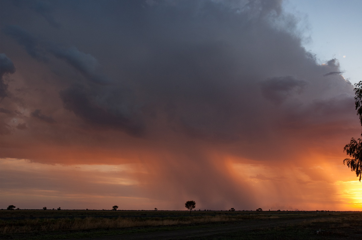 thunderstorm cumulonimbus_calvus : Coonamble, NSW   8 December 2007