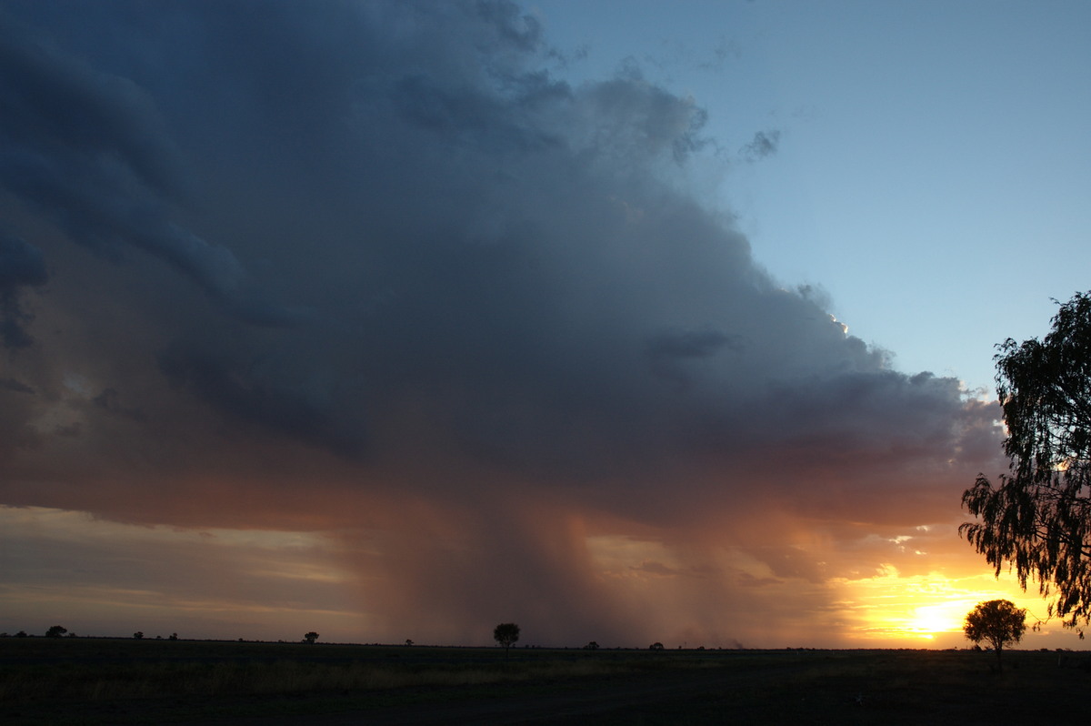 thunderstorm cumulonimbus_calvus : Coonamble, NSW   8 December 2007