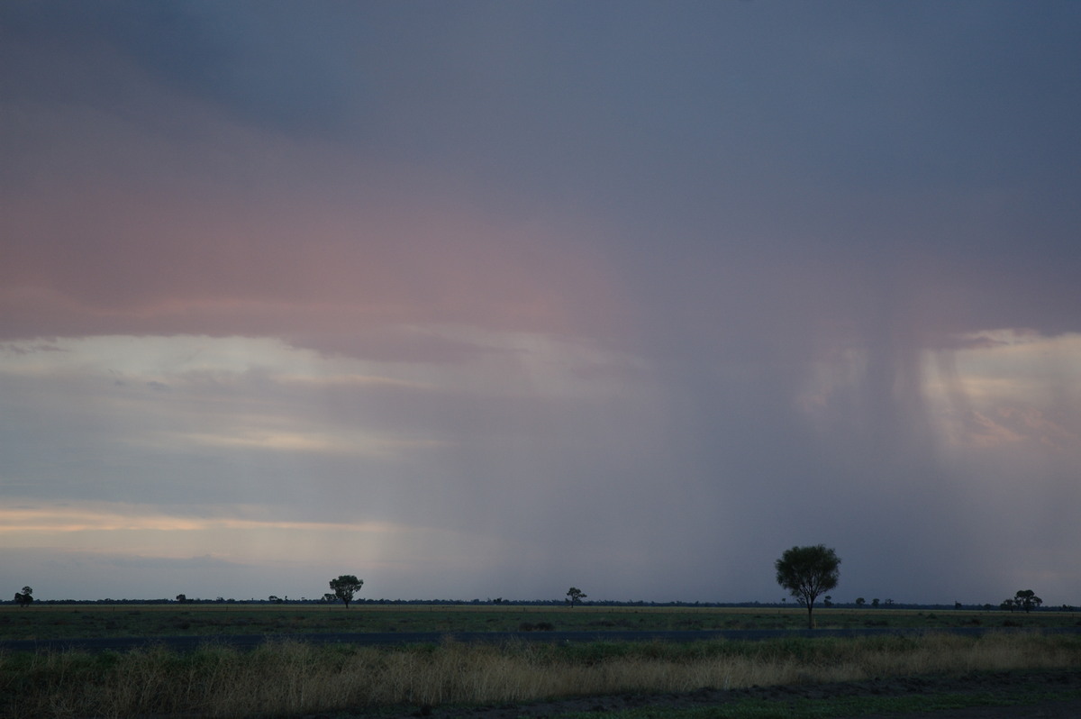 raincascade precipitation_cascade : Coonamble, NSW   8 December 2007