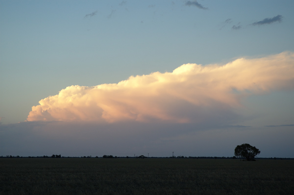 thunderstorm cumulonimbus_incus : Coonamble, NSW   8 December 2007