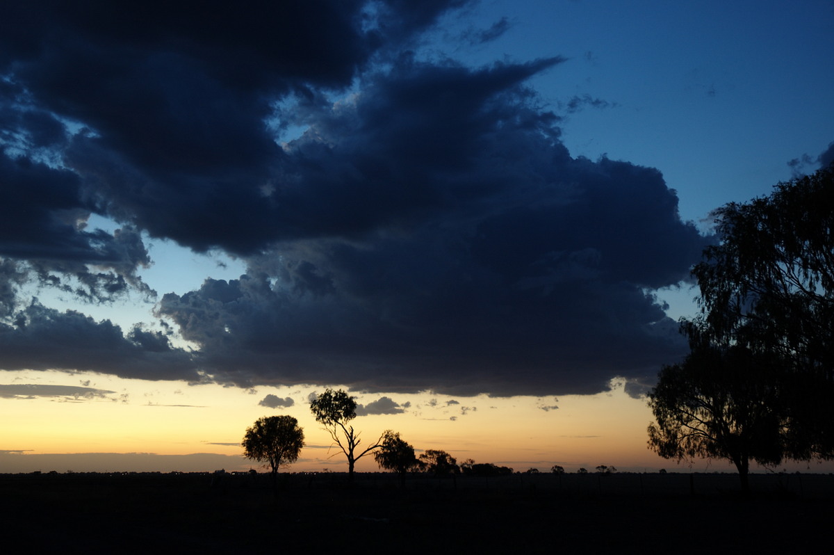 cumulus congestus : Coonamble, NSW   8 December 2007