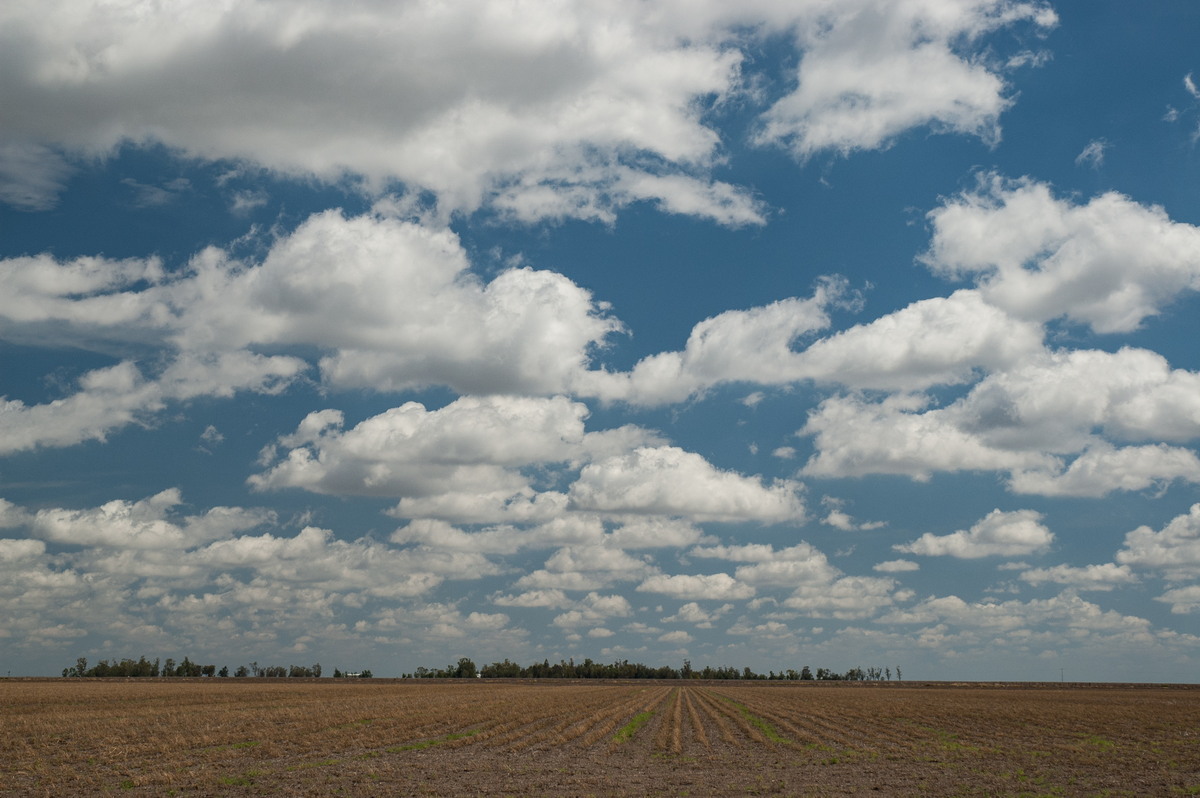 cumulus humilis : near Belata, NSW   9 December 2007