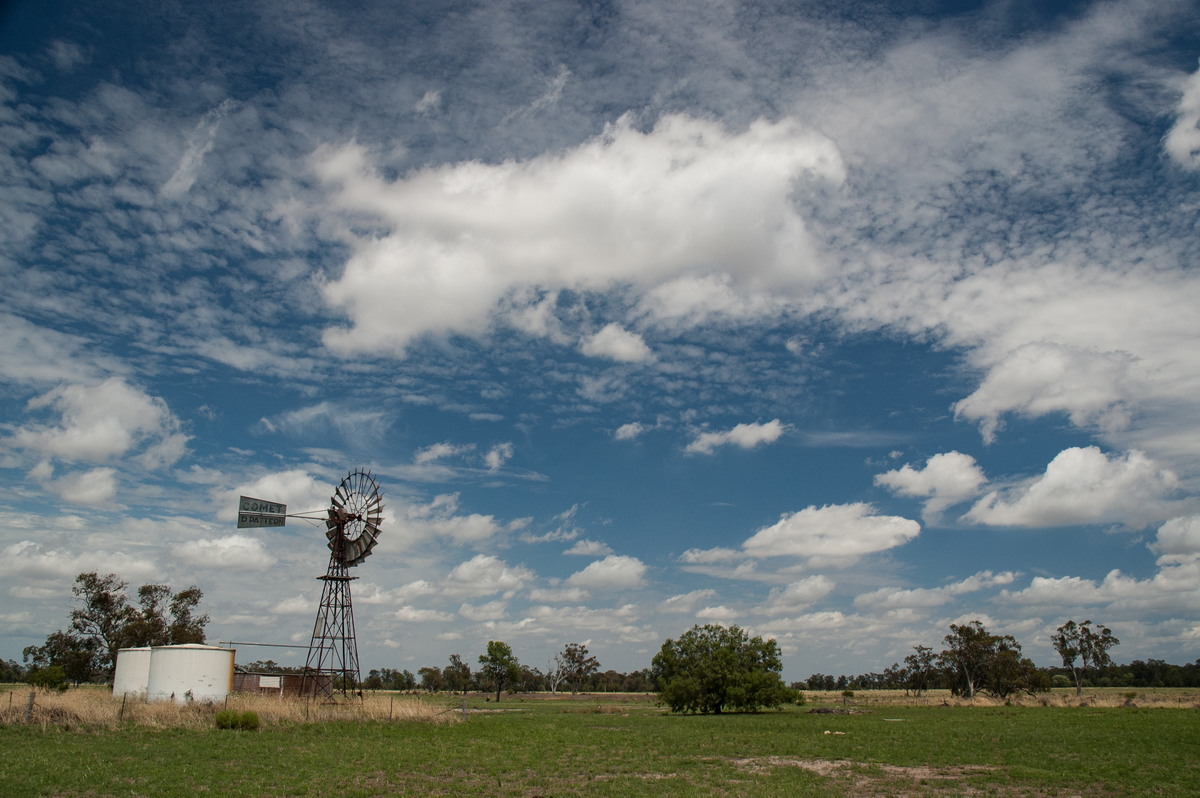 cumulus humilis : near Belata, NSW   9 December 2007