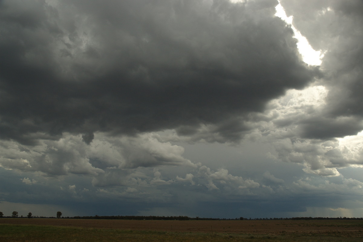 cumulonimbus thunderstorm_base : near Boomi, NSW   9 December 2007