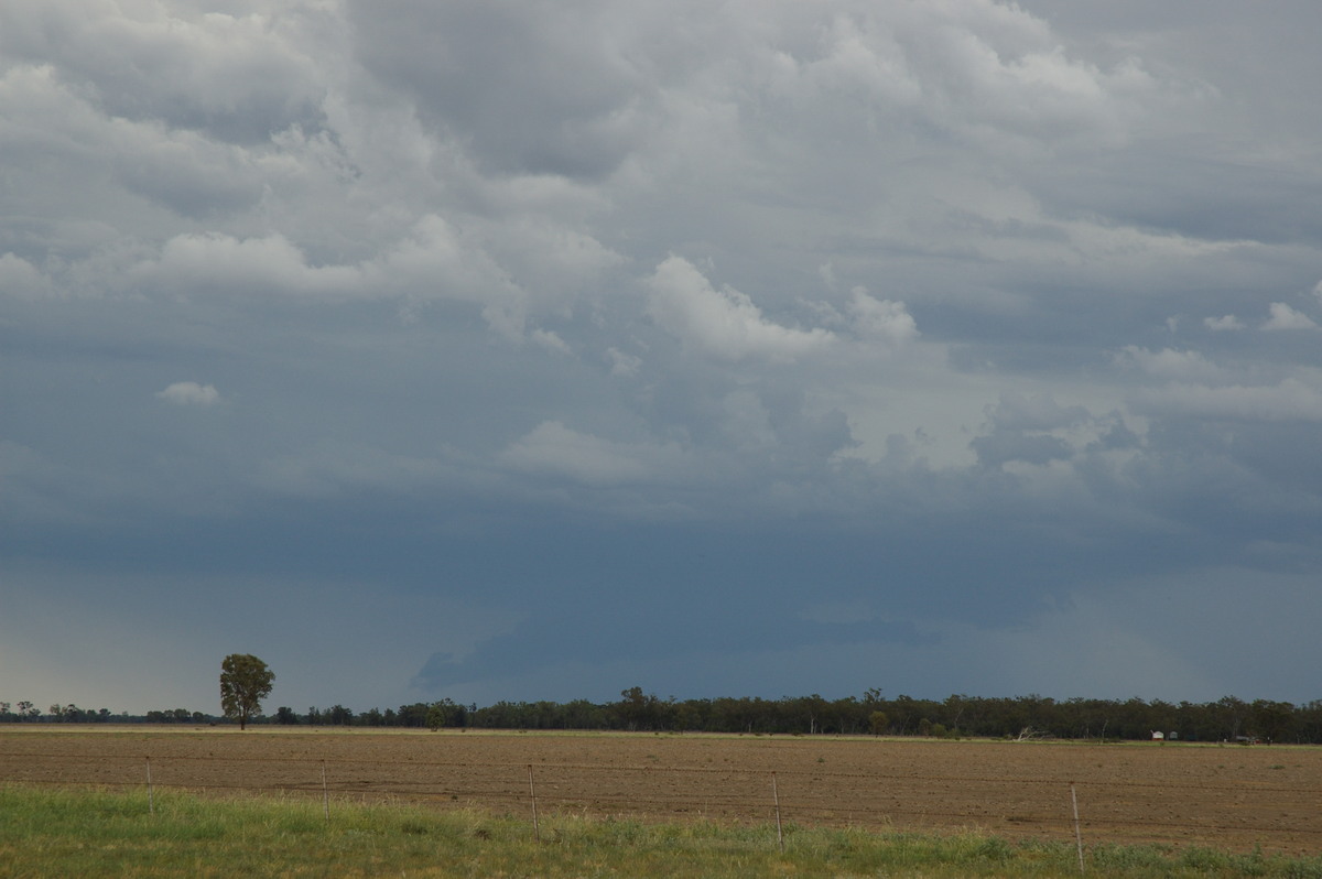 cumulonimbus thunderstorm_base : near Boomi, NSW   9 December 2007