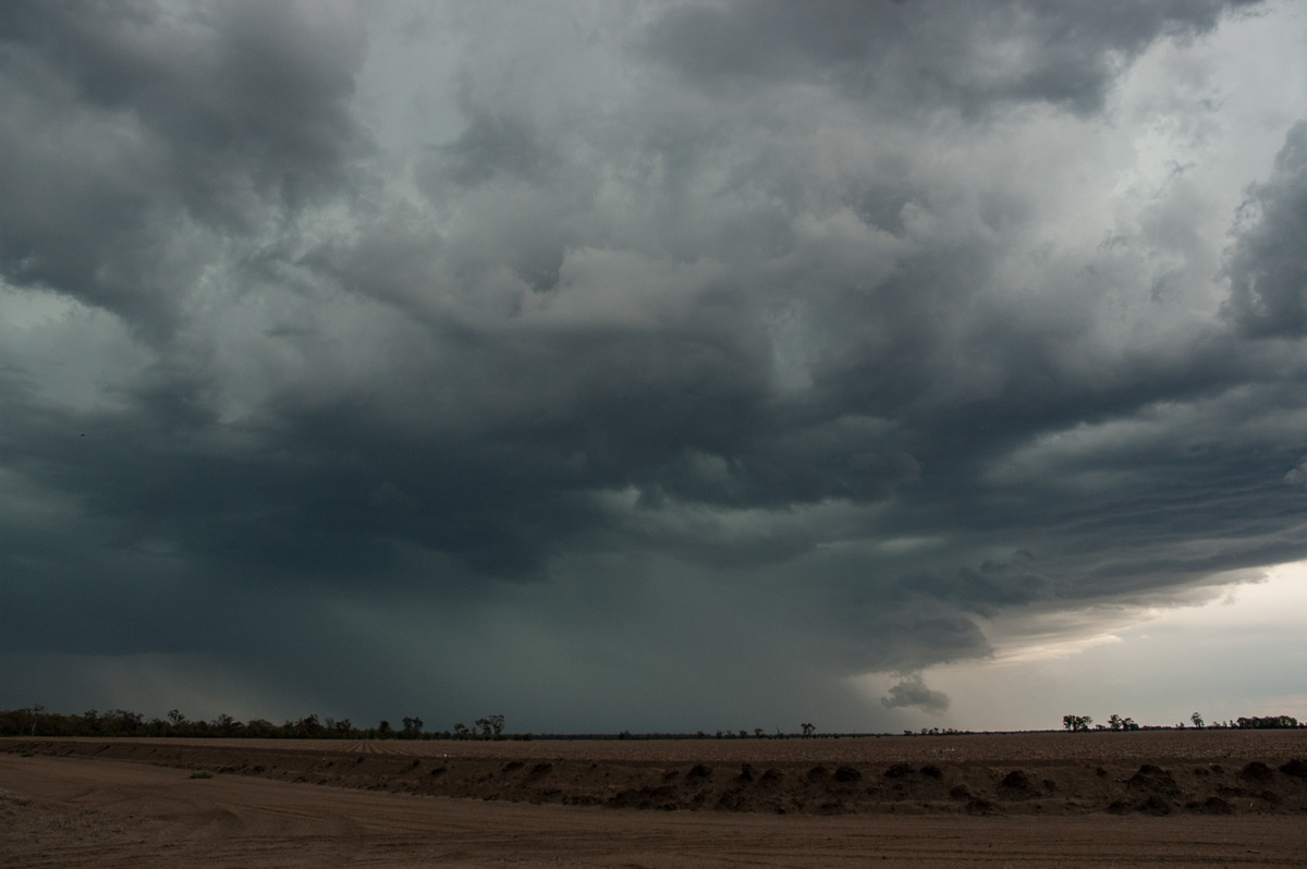 cumulonimbus thunderstorm_base : near Boomi, NSW   9 December 2007