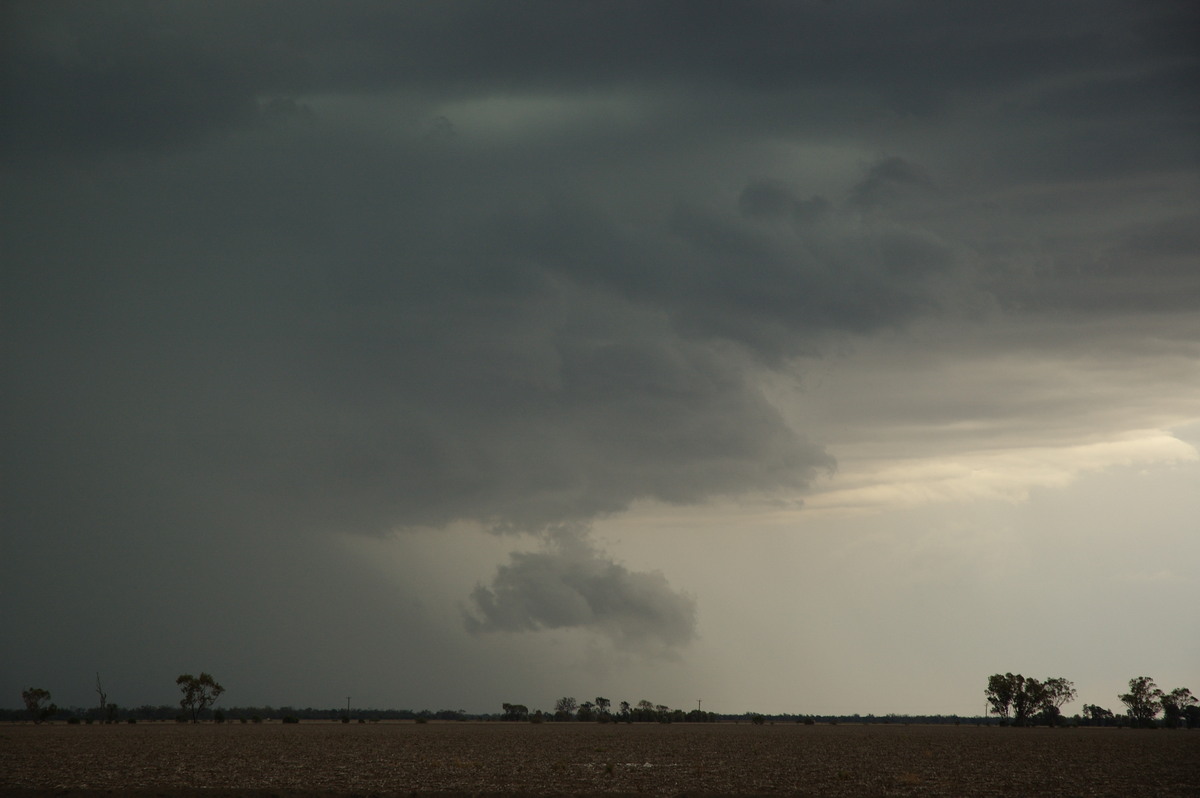 cumulonimbus thunderstorm_base : near Boomi, NSW   9 December 2007