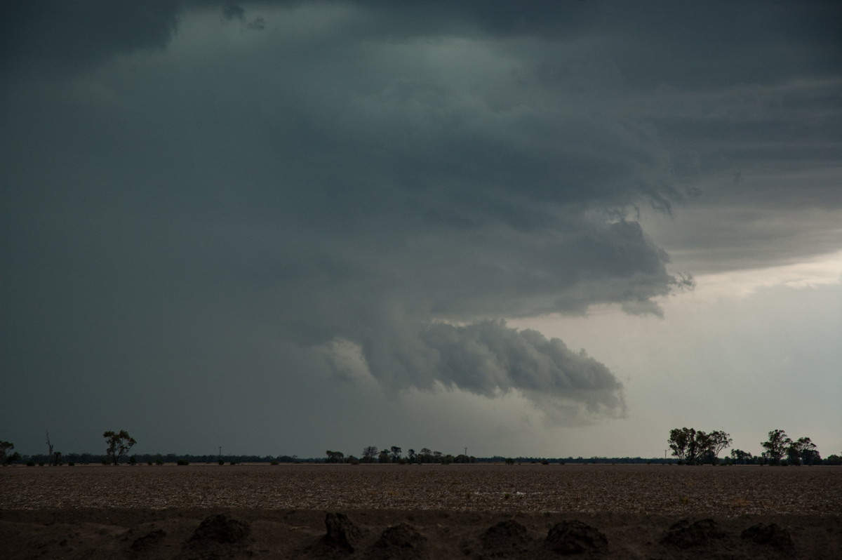 microburst micro_burst : near Boomi, NSW   9 December 2007