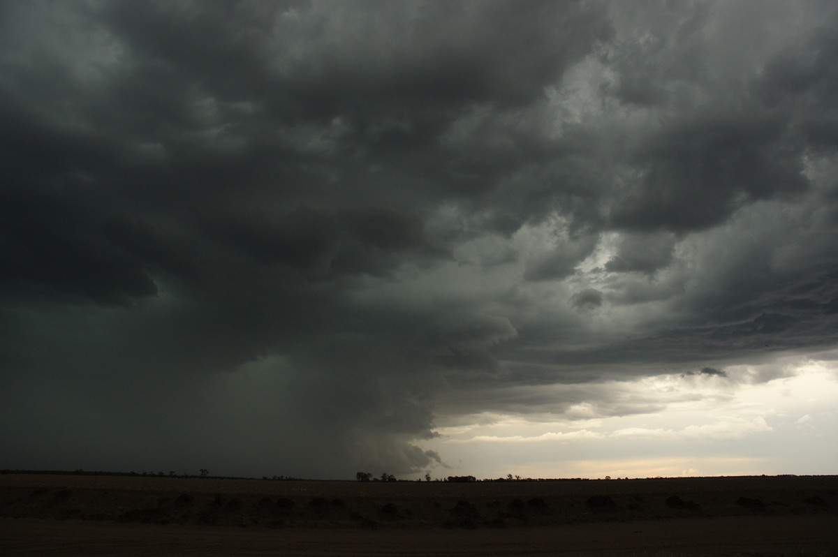 cumulonimbus thunderstorm_base : near Boomi, NSW   9 December 2007