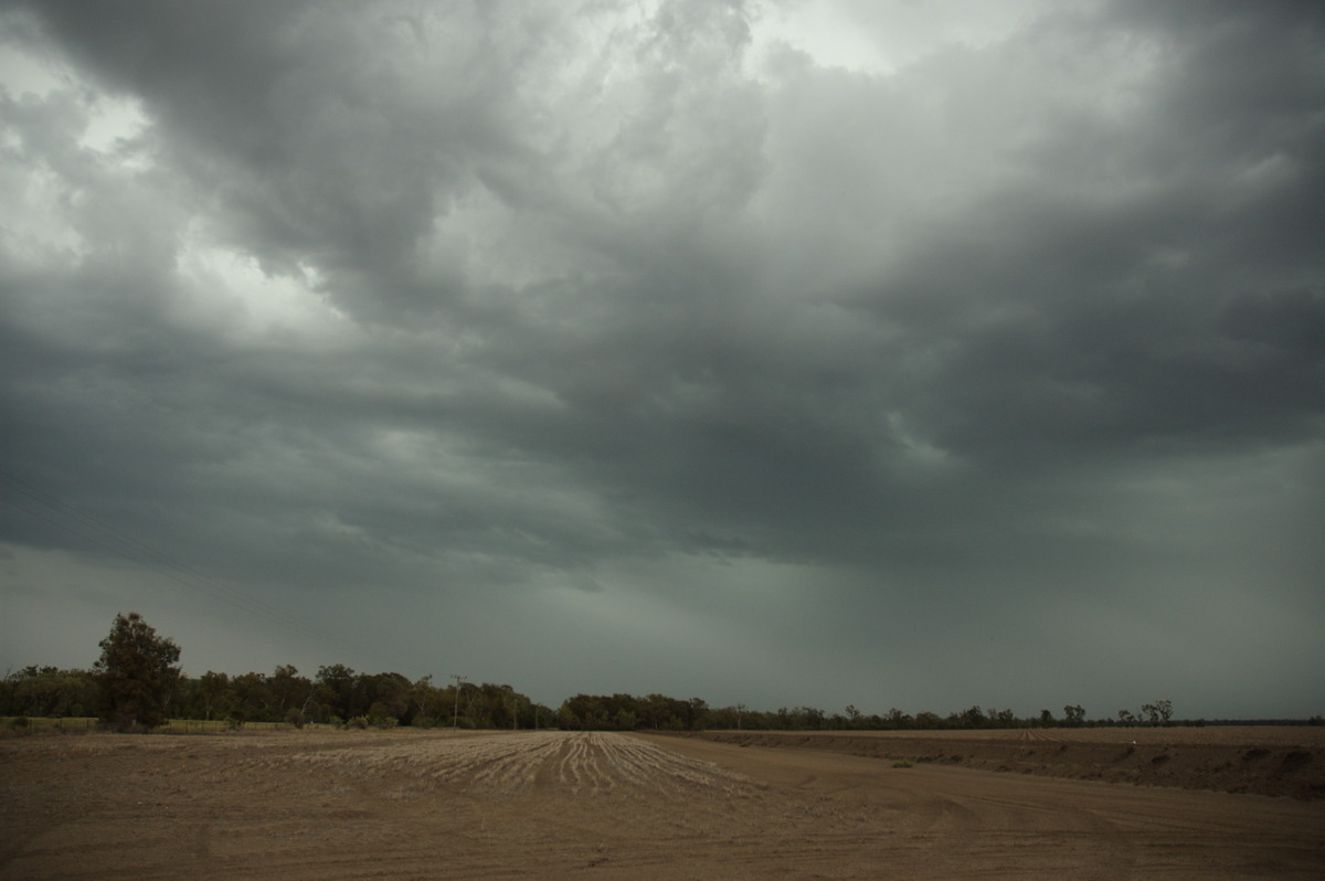 cumulonimbus thunderstorm_base : near Boomi, NSW   9 December 2007