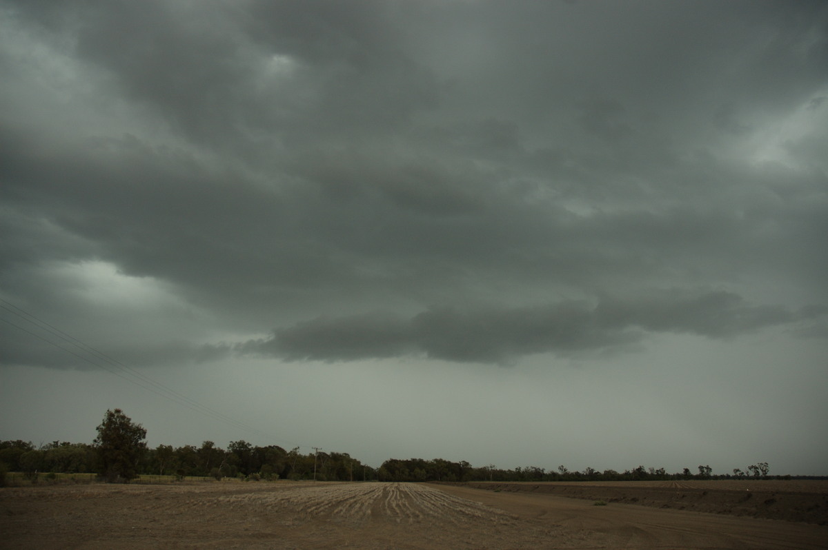 rollcloud roll_cloud : near Boomi, NSW   9 December 2007