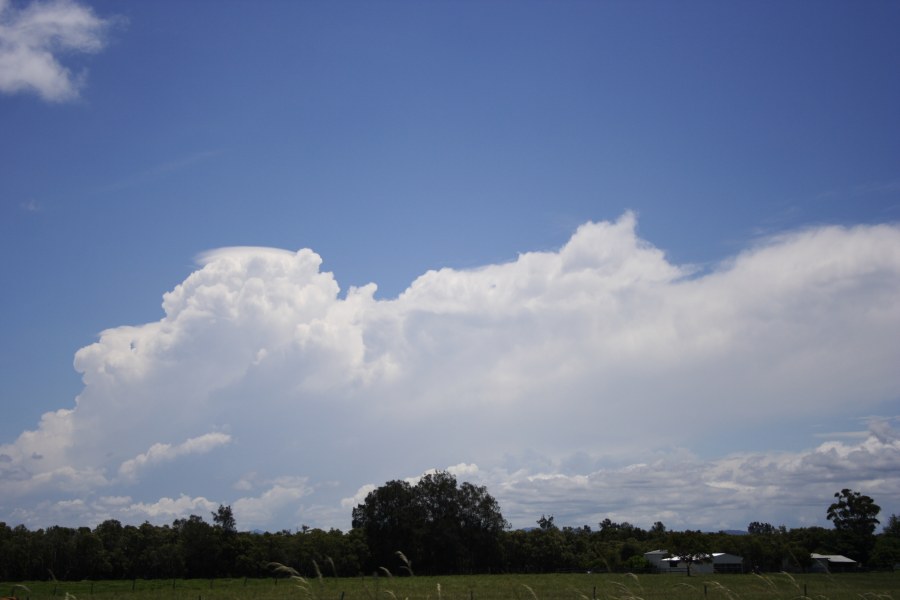 thunderstorm cumulonimbus_incus : near Taree, NSW   10 December 2007