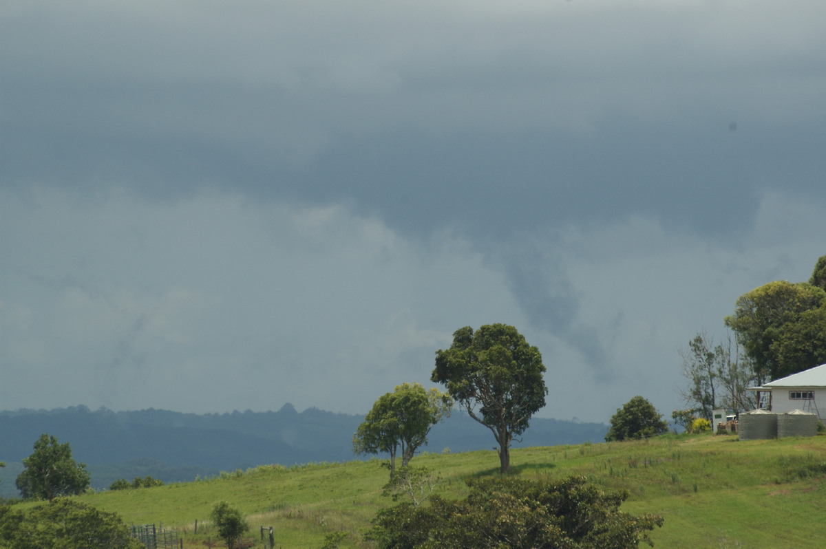 stratus stratus_cloud : McLeans Ridges, NSW   12 December 2007