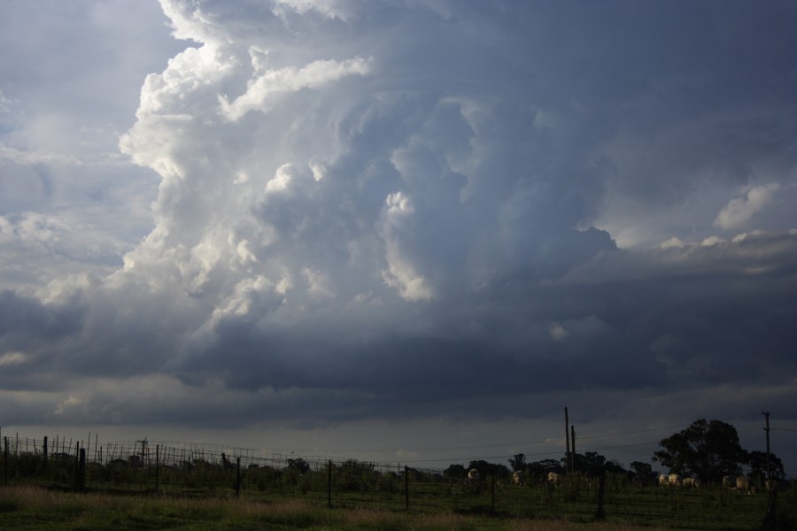 thunderstorm cumulonimbus_incus : Schofields, NSW   27 December 2007