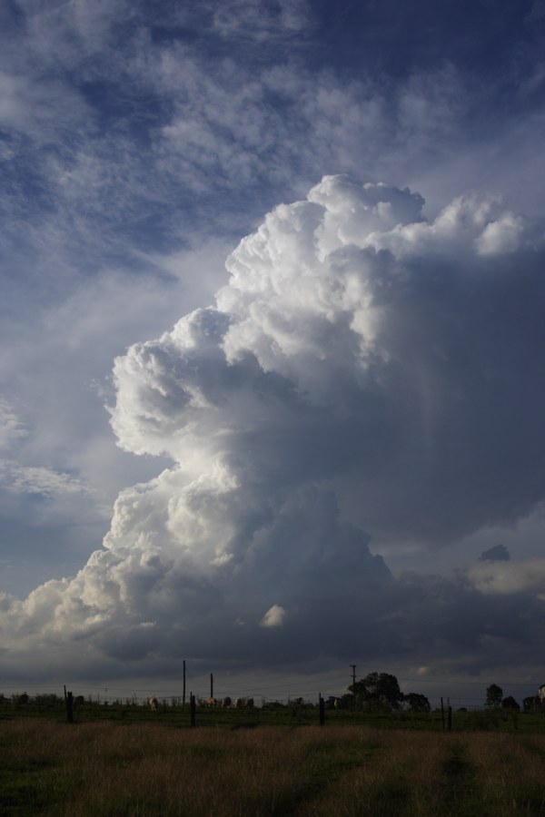 thunderstorm cumulonimbus_incus : Schofields, NSW   27 December 2007