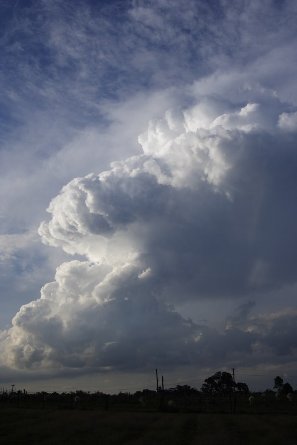 thunderstorm cumulonimbus_incus : Schofields, NSW   27 December 2007