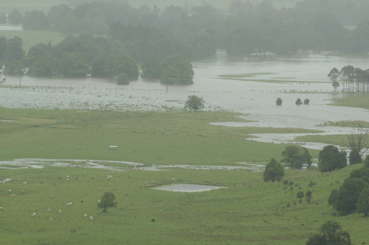 flashflooding flood_pictures : McLeans Ridges, NSW   4 January 2008