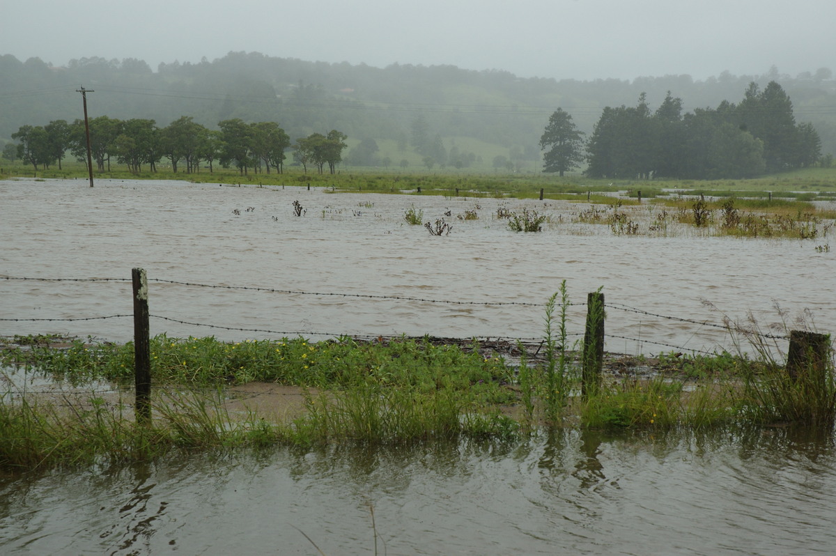 flashflooding flood_pictures : Eltham, NSW   4 January 2008