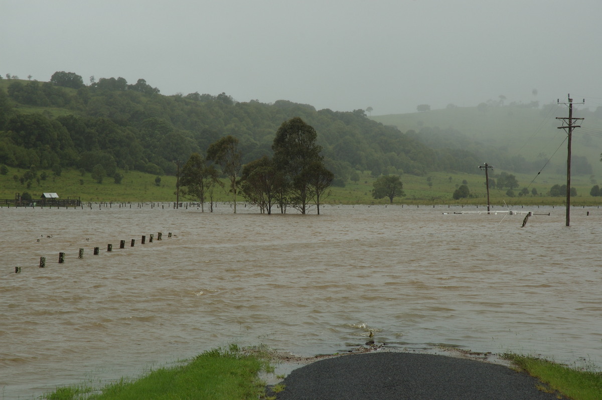 flashflooding flood_pictures : Eltham, NSW   4 January 2008