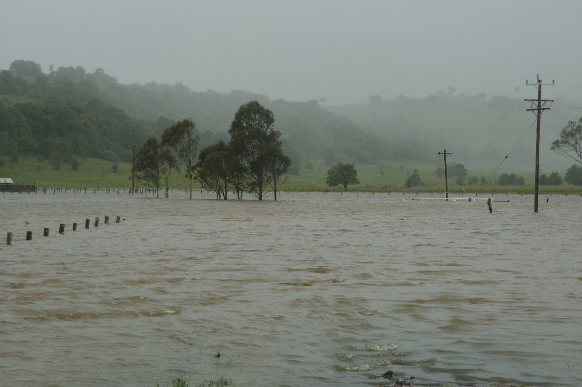 flashflooding flood_pictures : Eltham, NSW   4 January 2008