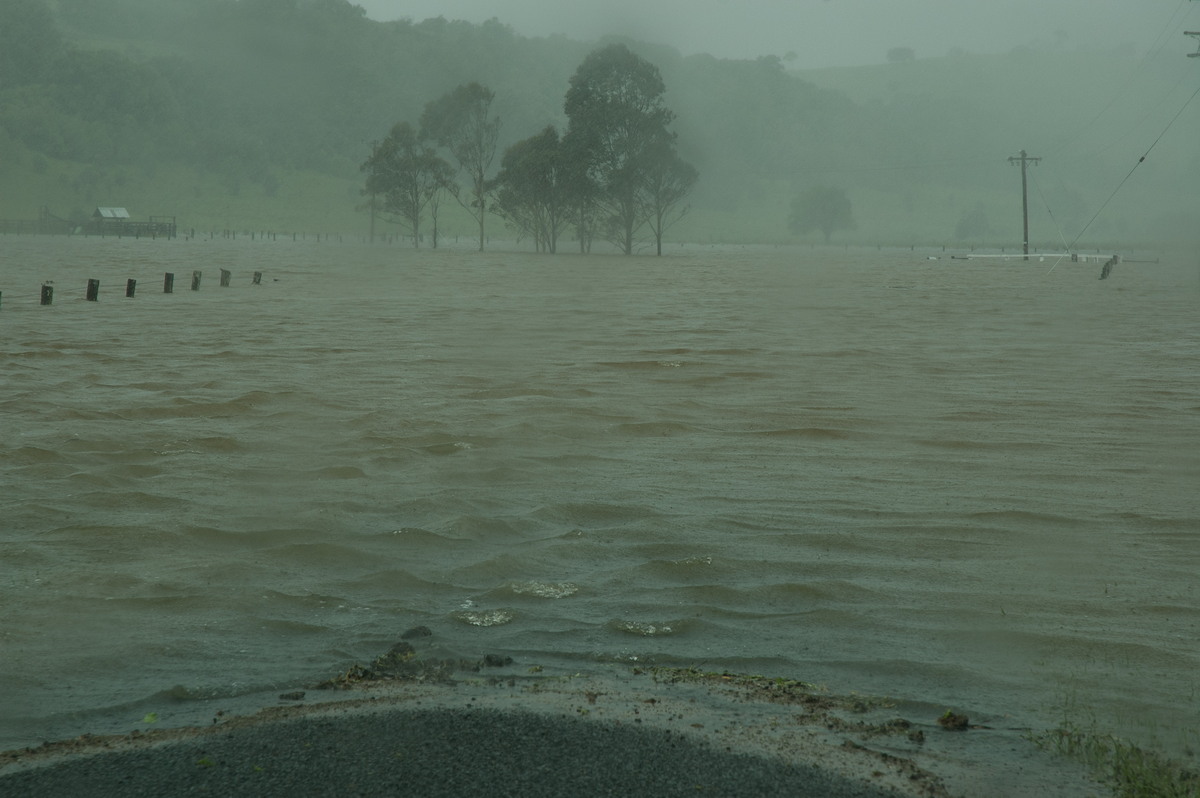 flashflooding flood_pictures : Eltham, NSW   4 January 2008