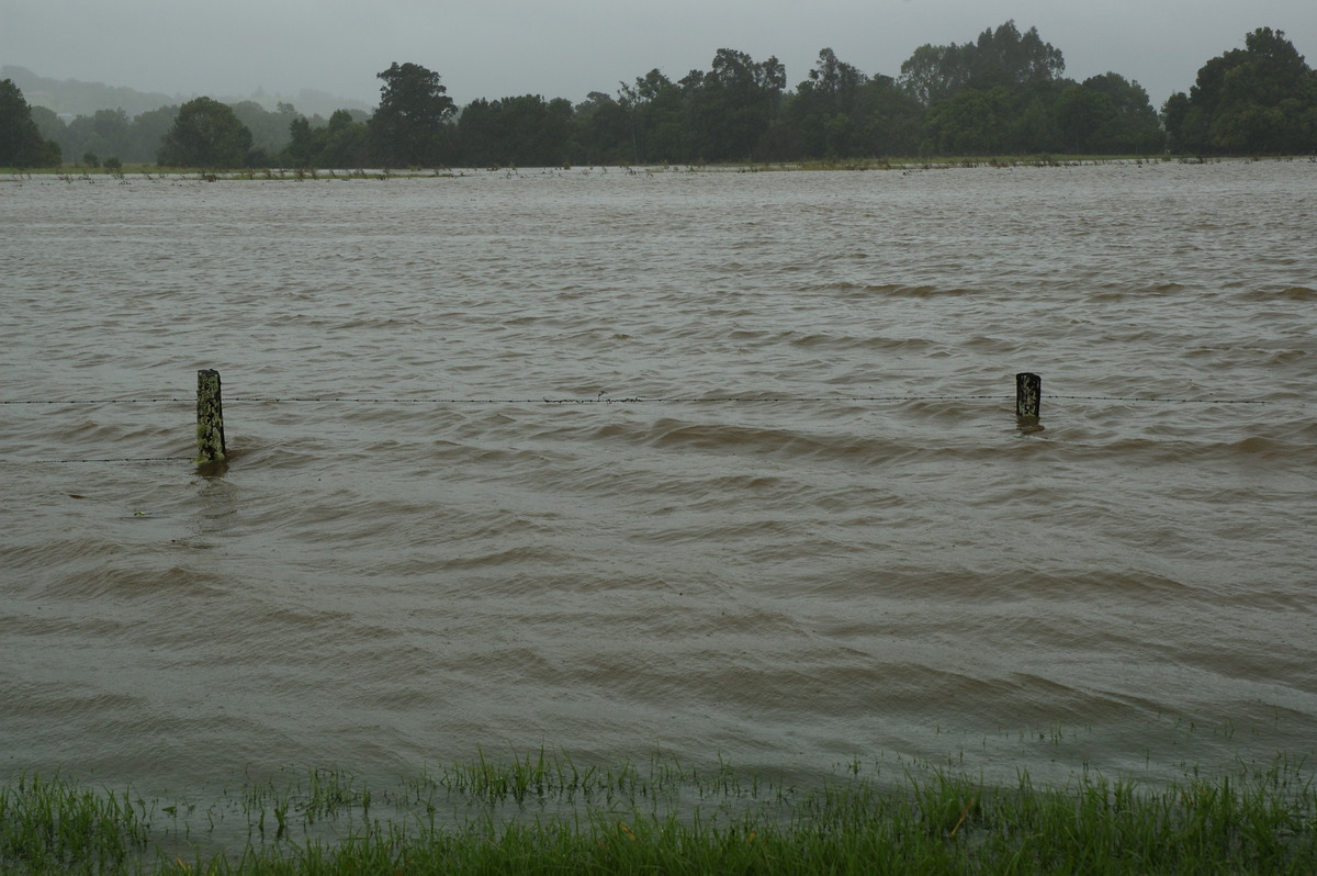 flashflooding flood_pictures : Eltham, NSW   4 January 2008