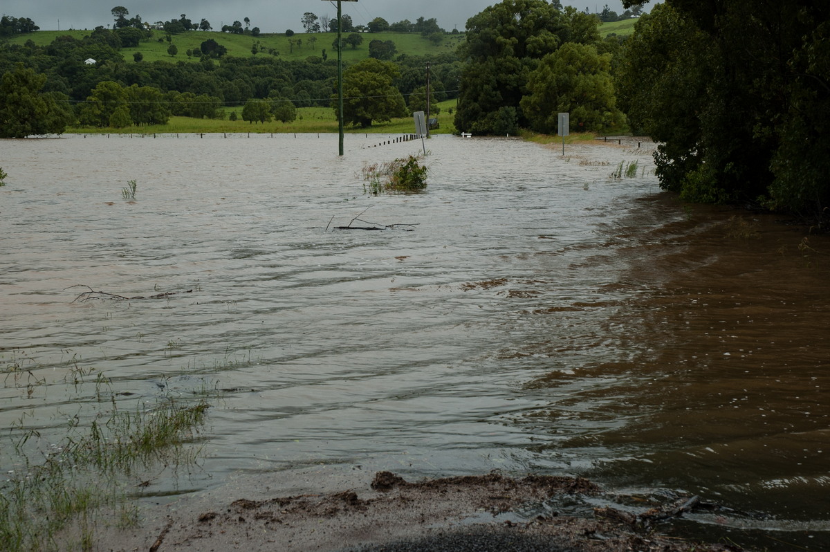 flashflooding flood_pictures : Eltham, NSW   4 January 2008